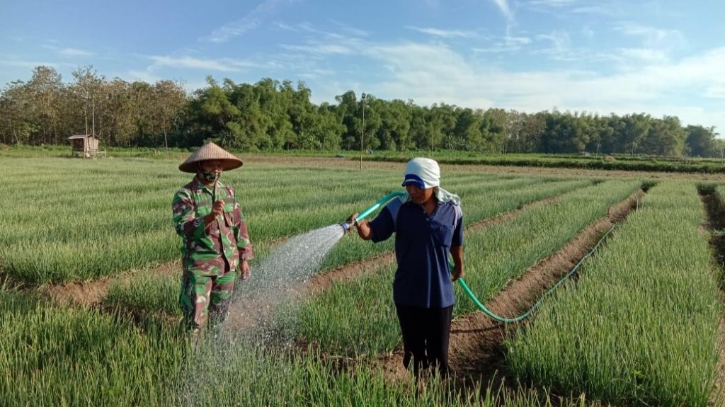 WhatsApp Image 2021-07-07 at 14.45.05(1)