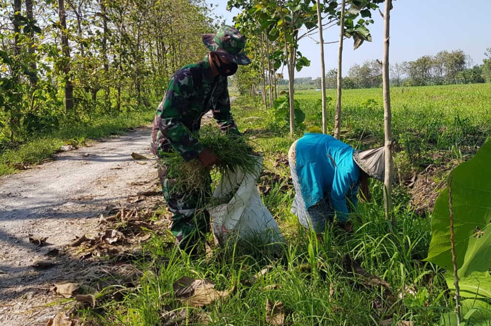 WhatsApp Image 2021-07-07 at 14.46.34(1)