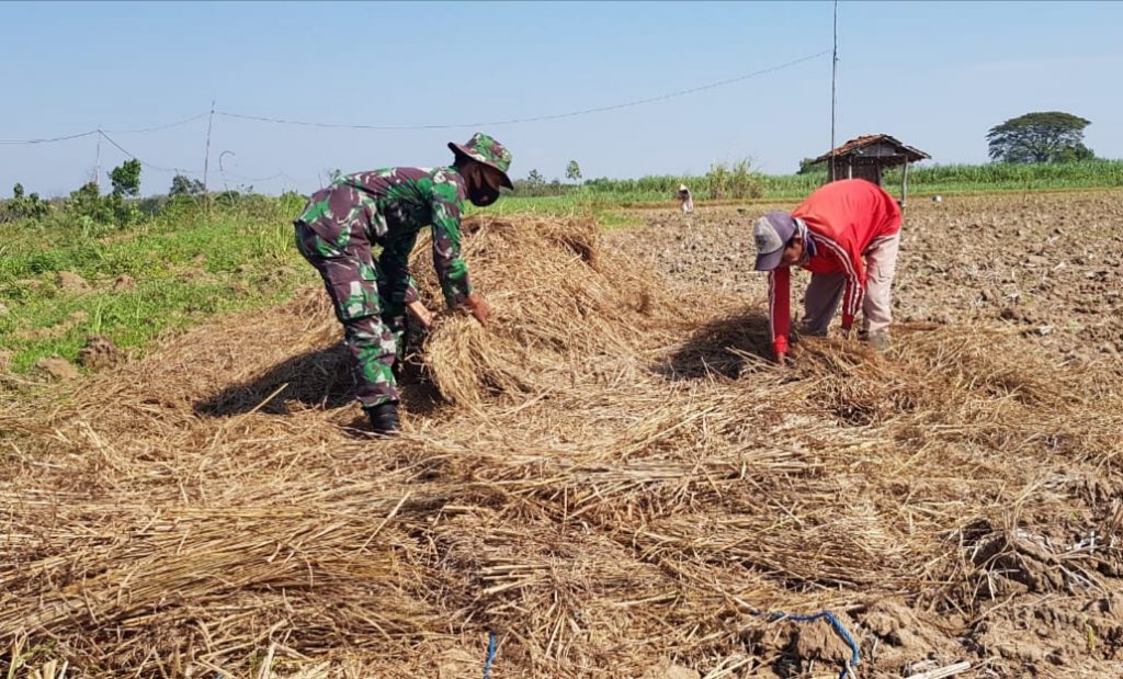 WhatsApp Image 2021-07-08 at 13.41.23(1)