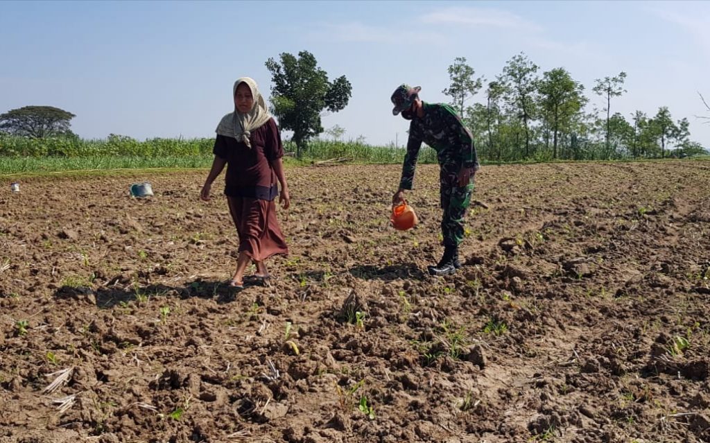 WhatsApp Image 2021-07-08 at 13.41.24(1)