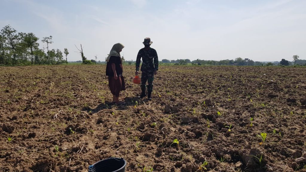 WhatsApp Image 2021-07-08 at 13.42.06(1)