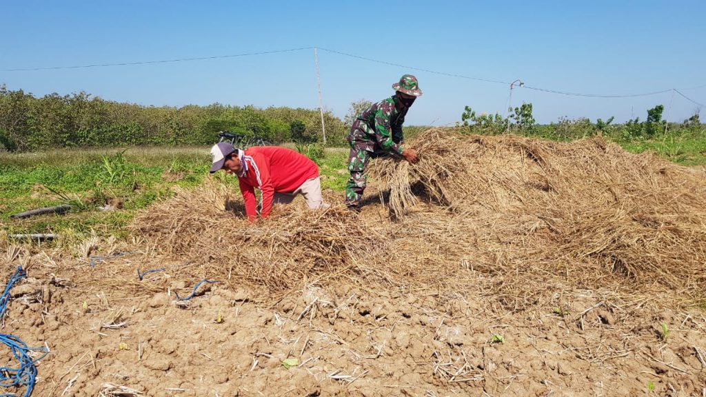 WhatsApp Image 2021-07-08 at 13.42.07(1)