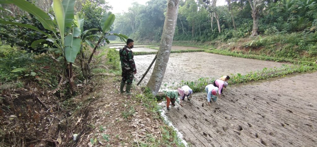 WhatsApp Image 2021-07-09 at 09.52.59(1)