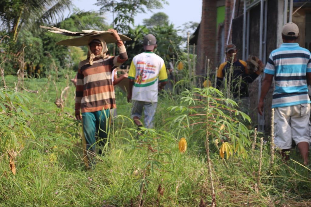 WhatsApp Image 2021-07-09 at 15.09.22