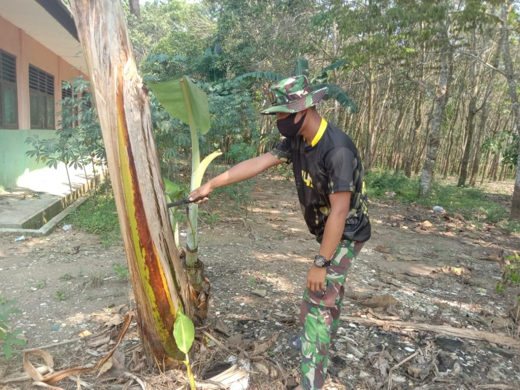 WhatsApp Image 2021-07-09 at 15.17.56