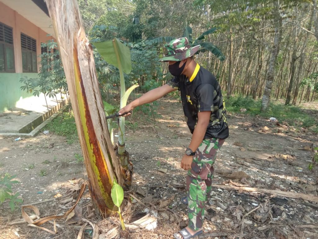 WhatsApp Image 2021-07-09 at 15.27.26