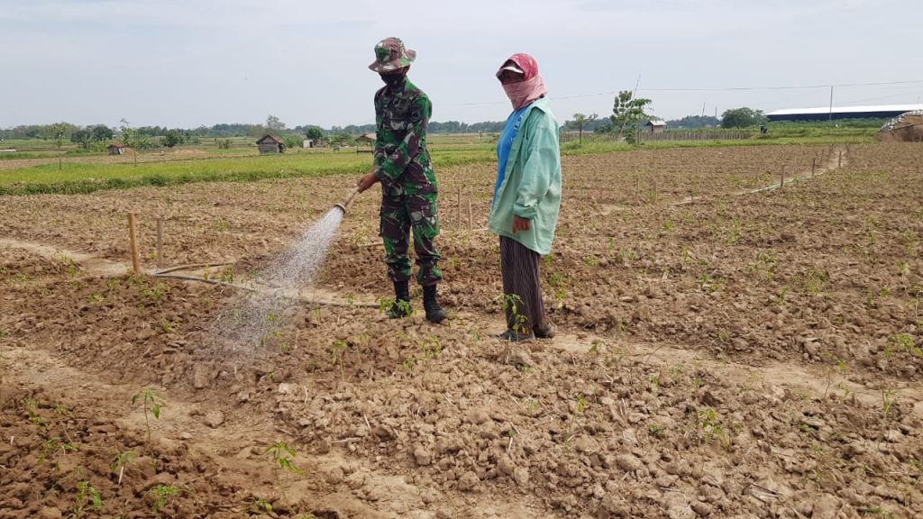 WhatsApp Image 2021-07-10 at 14.00.18