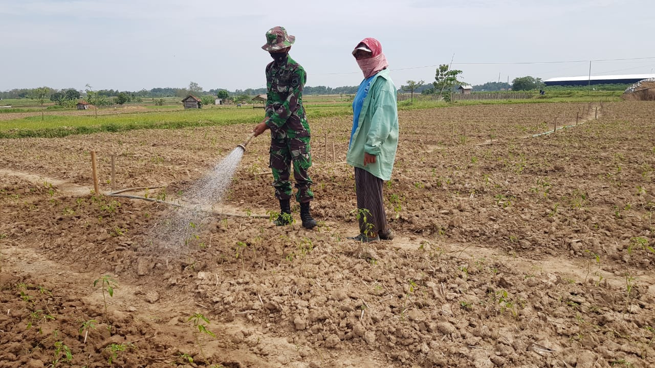 WhatsApp Image 2021-07-10 at 14.00.18