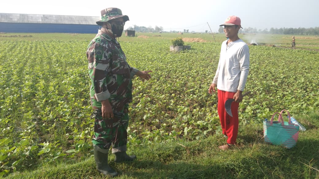 WhatsApp Image 2021-07-10 at 14.00.26 (1)