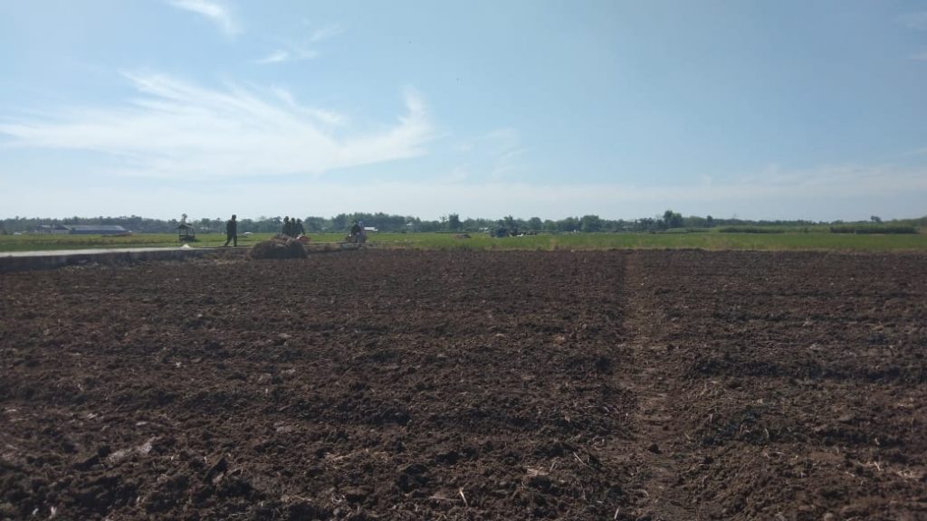 WhatsApp Image 2021-07-10 at 14.00.35