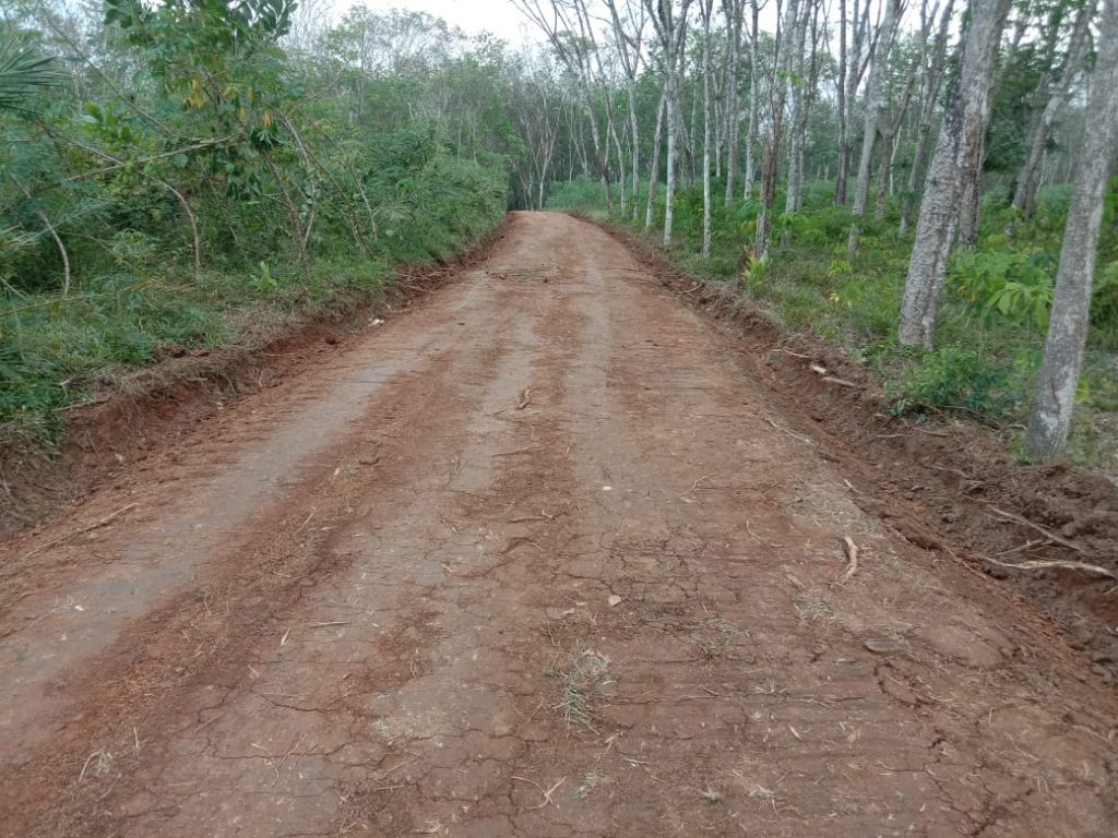 WhatsApp Image 2021-07-11 at 10.30.00