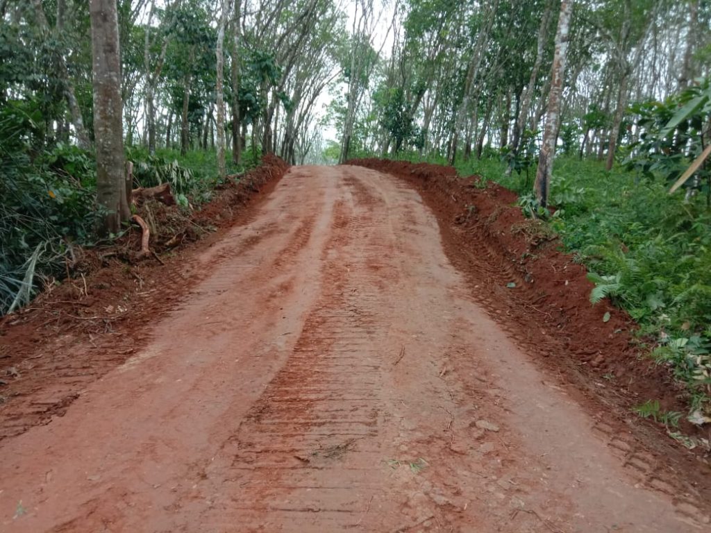 WhatsApp Image 2021-07-11 at 10.30.18