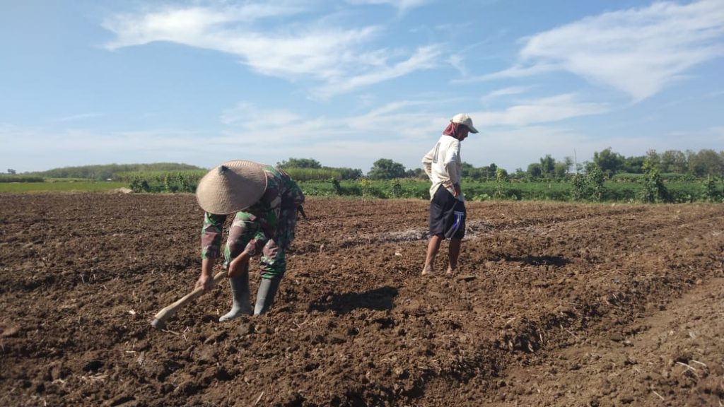 WhatsApp Image 2021-07-11 at 17.14.47