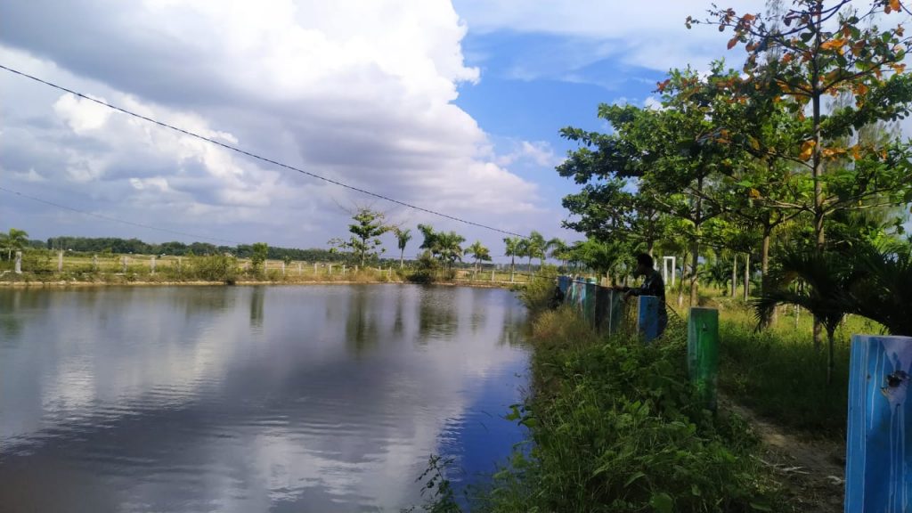 WhatsApp Image 2021-07-11 at 17.15.29