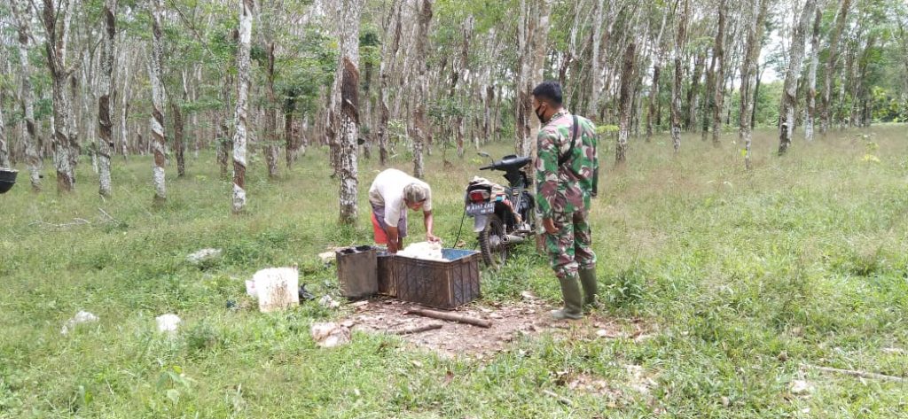 WhatsApp Image 2021-07-12 at 11.54.22