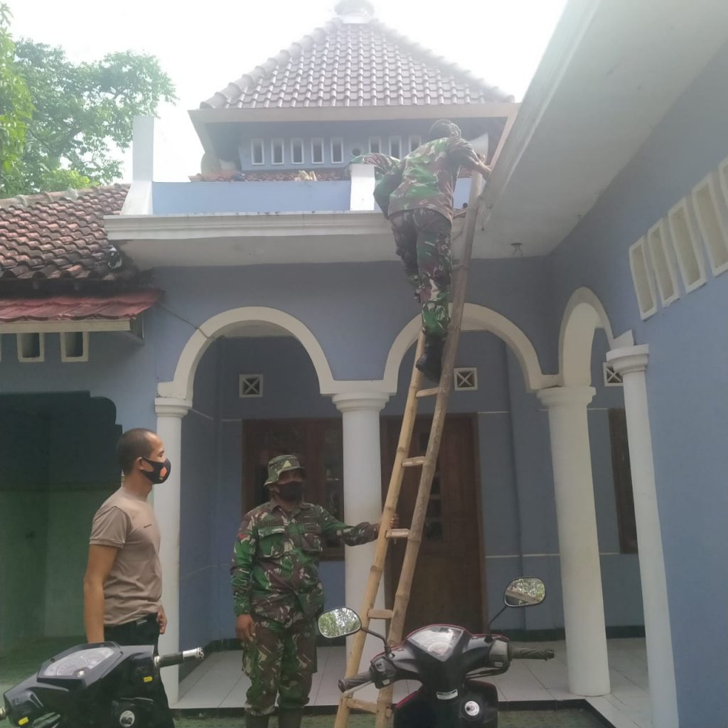 WhatsApp Image 2021-07-12 at 12.58.48