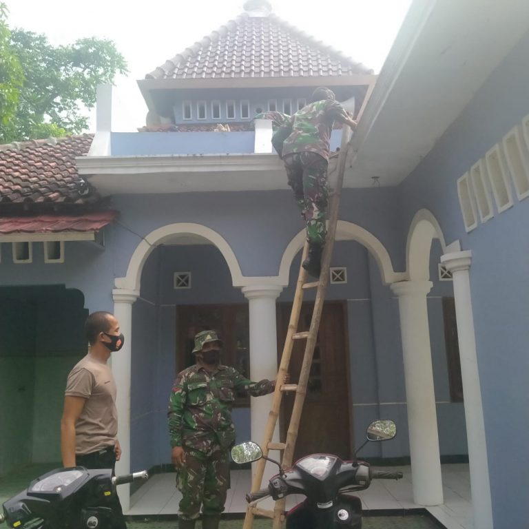 WhatsApp Image 2021-07-12 at 12.58.48