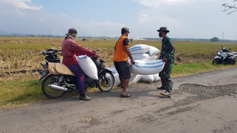 WhatsApp Image 2021-07-12 at 12.59.03