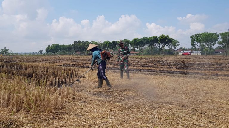 WhatsApp Image 2021-07-12 at 13.00.15