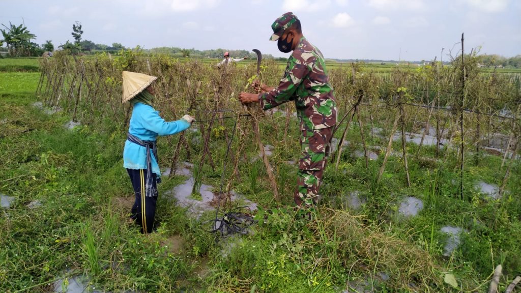 WhatsApp Image 2021-07-12 at 13.00.30