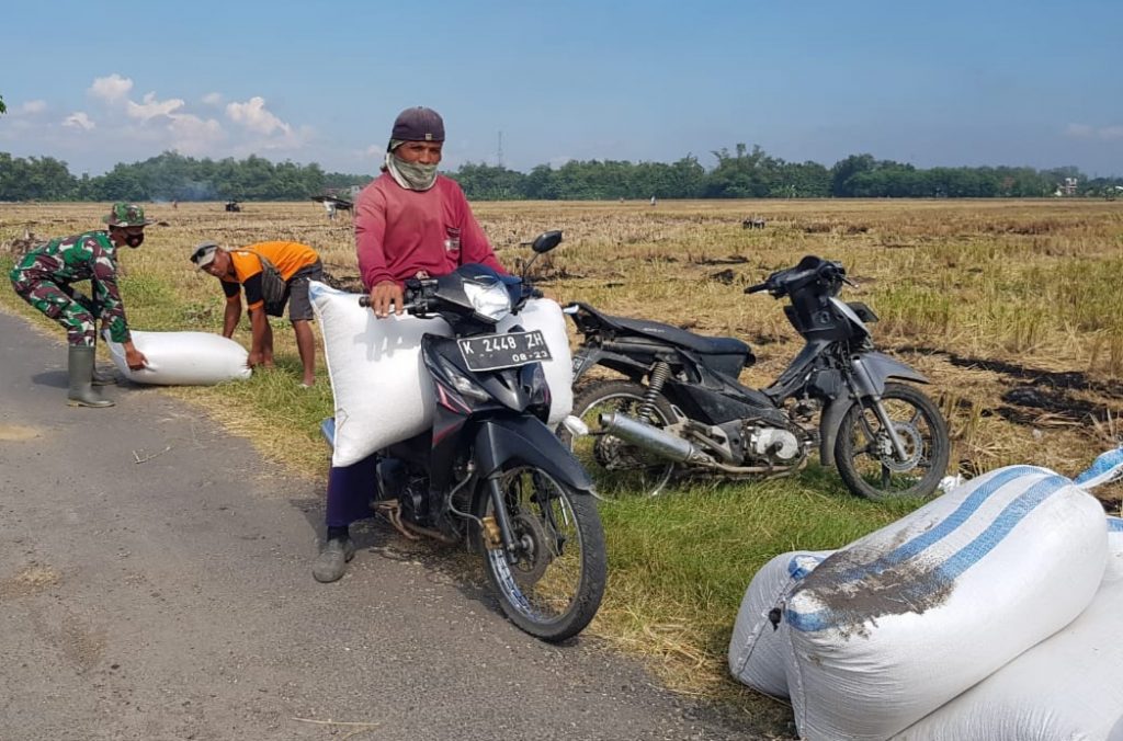 WhatsApp Image 2021-07-13 at 13.07.12