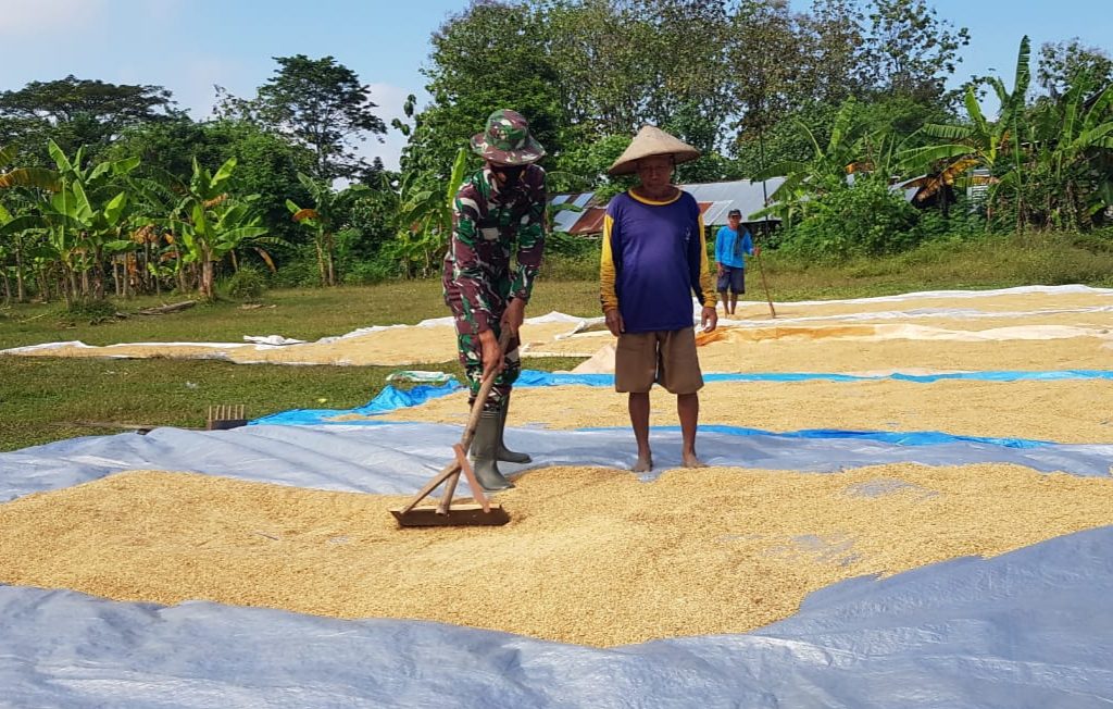 WhatsApp Image 2021-07-13 at 13.07.13