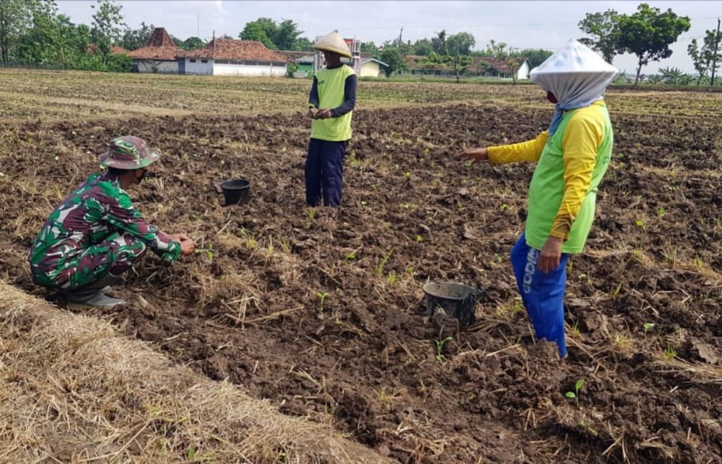 WhatsApp Image 2021-07-13 at 13.07.27