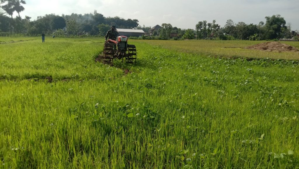 WhatsApp Image 2021-07-13 at 13.08.01