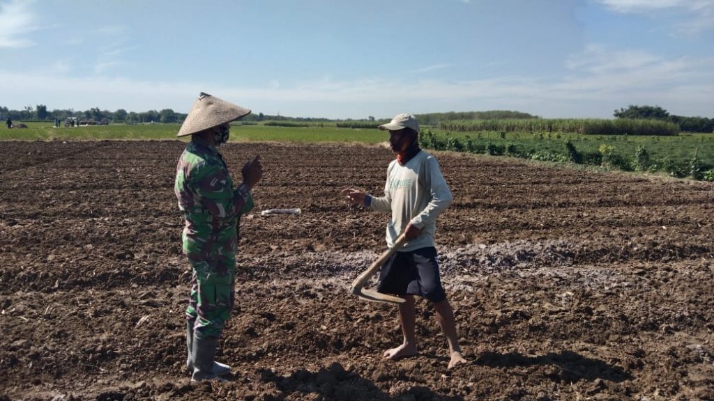 WhatsApp Image 2021-07-13 at 13.08.02