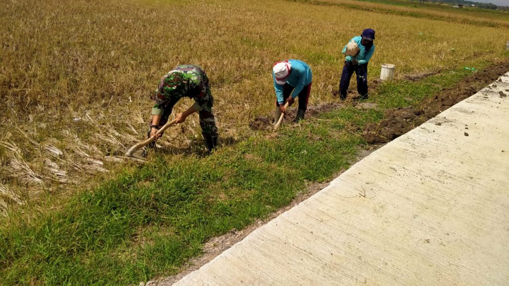 WhatsApp Image 2021-07-13 at 13.08.12