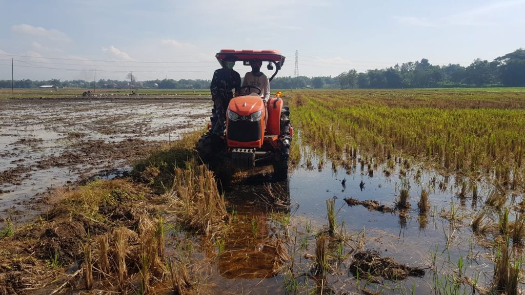 WhatsApp Image 2021-07-13 at 13.08.16