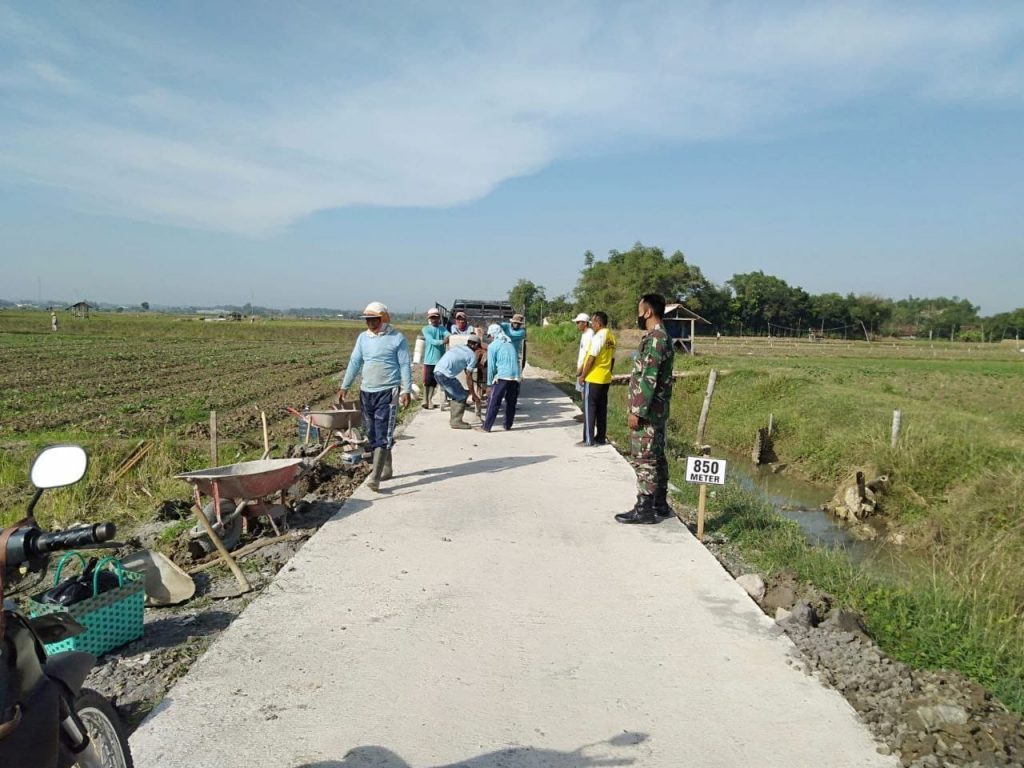 WhatsApp Image 2021-07-13 at 13.08.38