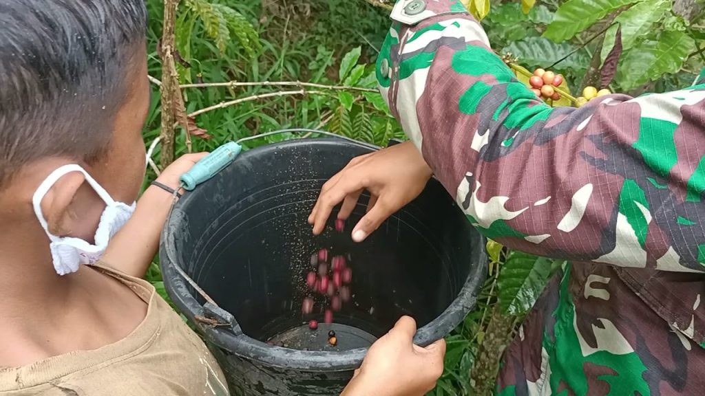 WhatsApp Image 2021-07-14 at 01.21.31