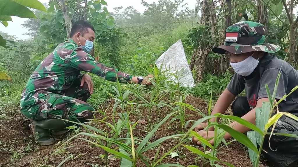 WhatsApp Image 2021-07-14 at 01.21.55