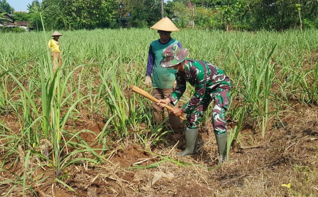 WhatsApp Image 2021-07-14 at 12.52.32