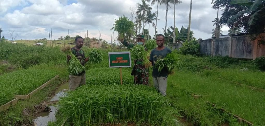 WhatsApp Image 2021-07-15 at 05.37.30