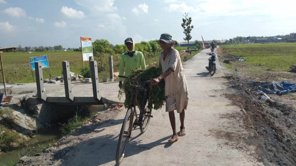 WhatsApp Image 2021-07-15 at 13.29.31