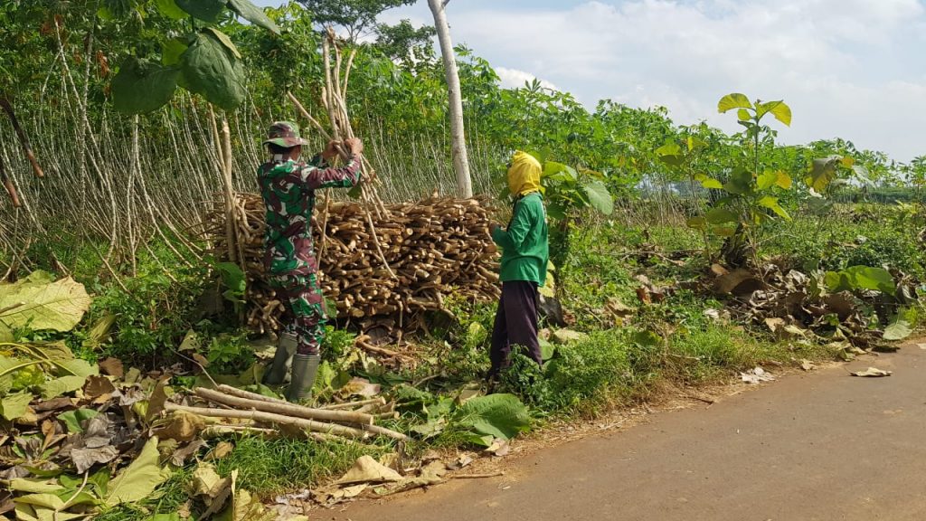 WhatsApp Image 2021-07-15 at 13.30.10