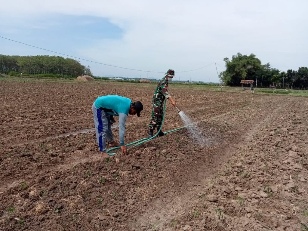 WhatsApp Image 2021-07-16 at 14.30.22