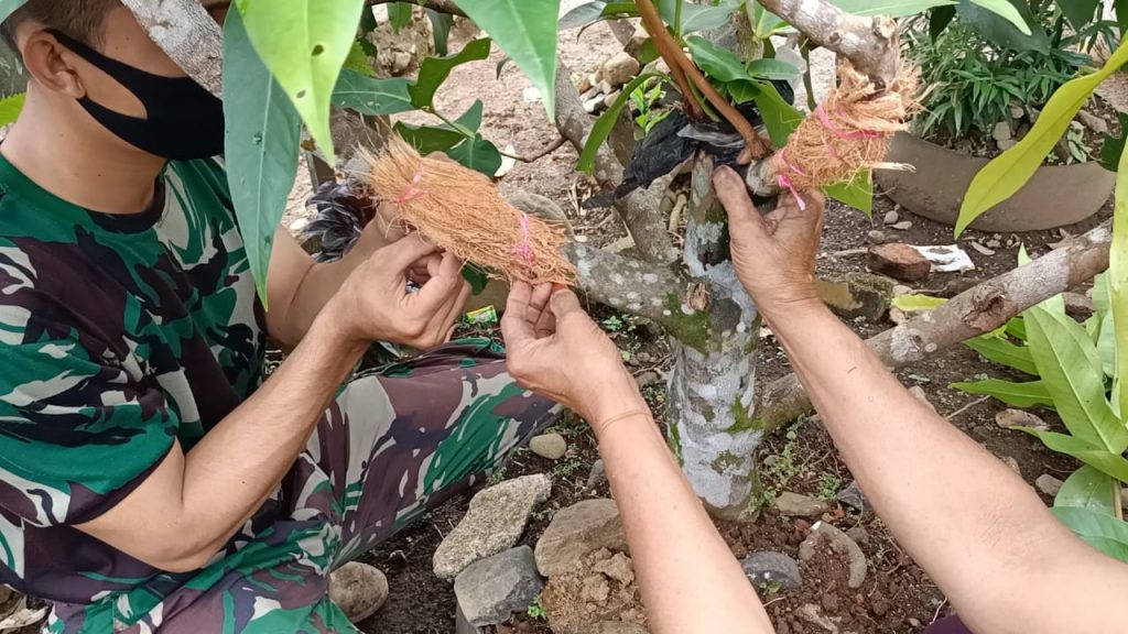 WhatsApp Image 2021-07-17 at 03.48.35