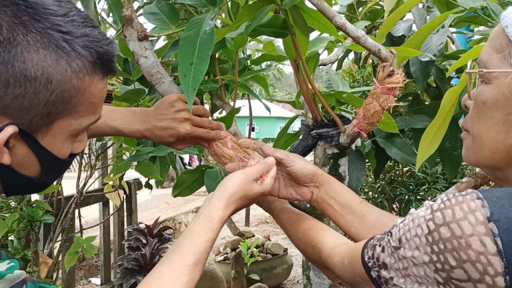 WhatsApp Image 2021-07-17 at 03.48.37