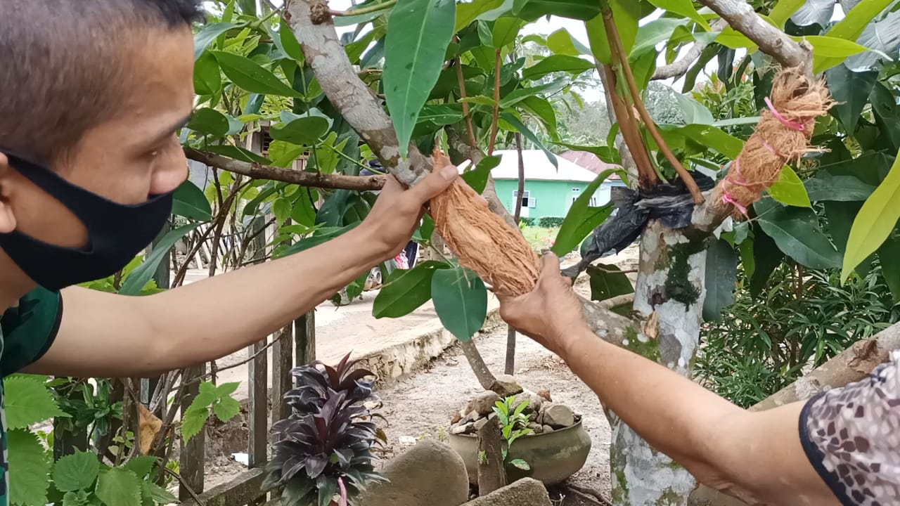 WhatsApp Image 2021-07-17 at 03.48.43