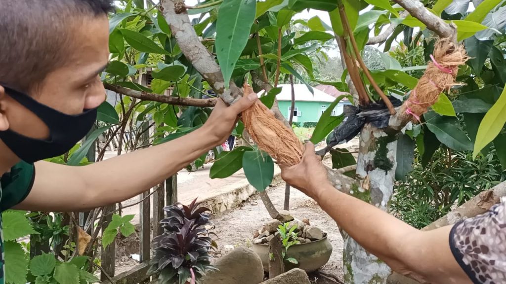 WhatsApp Image 2021-07-17 at 03.48.43