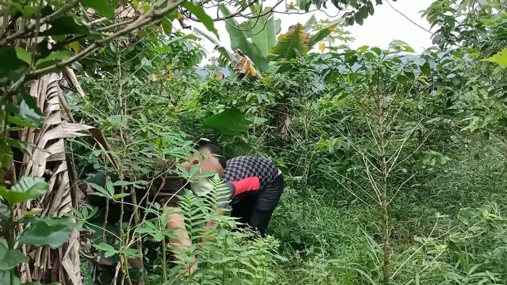 WhatsApp Image 2021-07-17 at 03.48.47