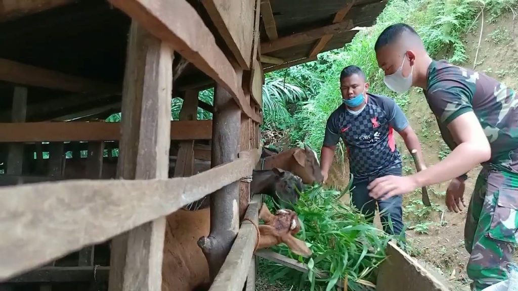 WhatsApp Image 2021-07-17 at 03.48.49