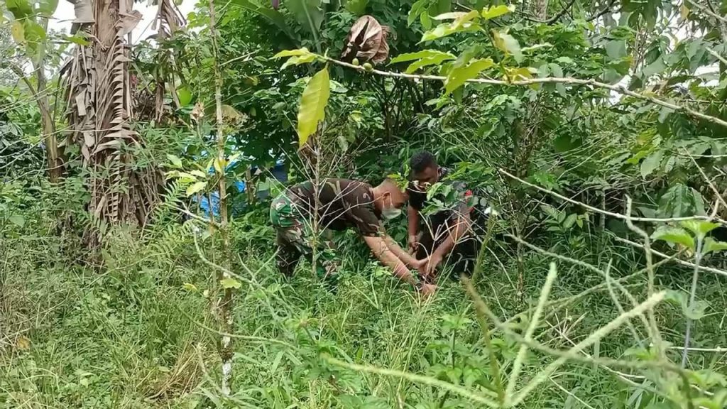 WhatsApp Image 2021-07-17 at 03.48.55