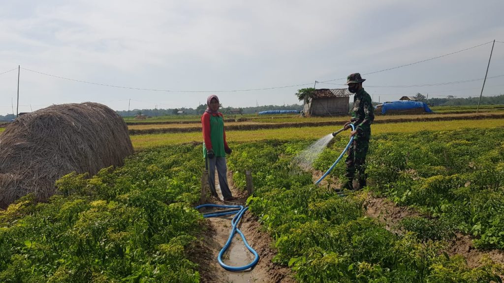 WhatsApp Image 2021-07-17 at 14.13.59