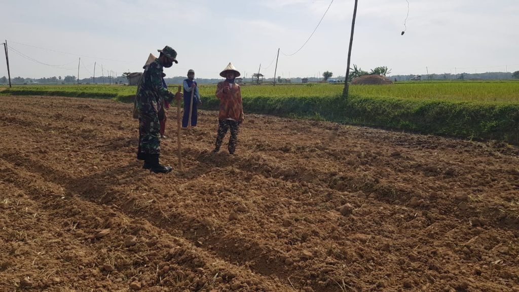 WhatsApp Image 2021-07-17 at 14.14.05(1)