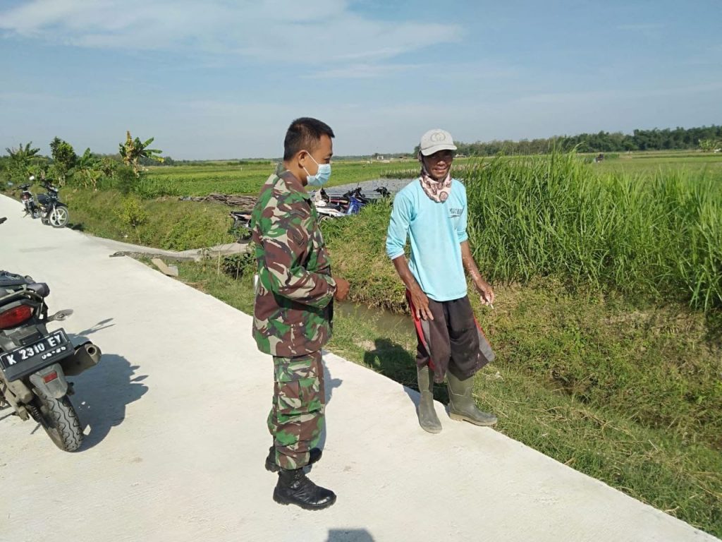 WhatsApp Image 2021-07-17 at 14.15.36