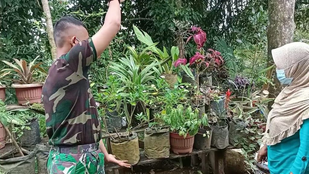 WhatsApp Image 2021-07-18 at 05.30.14